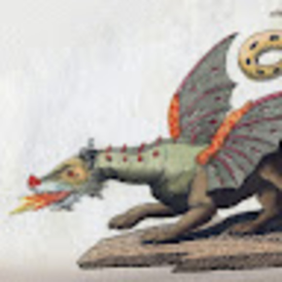 mylizardbarryh